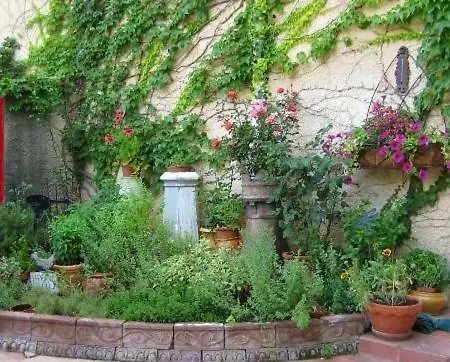 Le Clos Des Freres Gris *